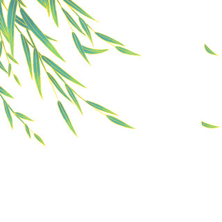 绿色手绘风格柳叶元素GIF动态图柳枝元素